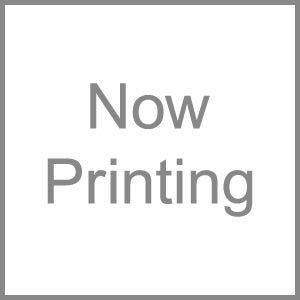 【中古品】ゼンケン 空気清浄機 エアフォレスト 交換用HEPAフィルター(中古品)