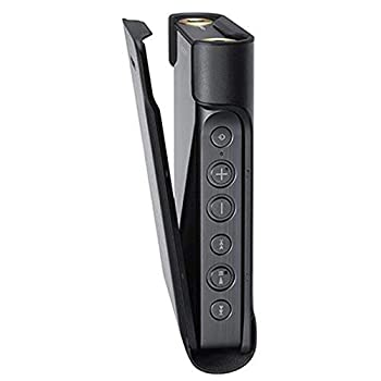 【中古品】ソニー レザーケース(WM1シリーズ用)SONY Signature CKL-NWWM1 BMWW(中古品)