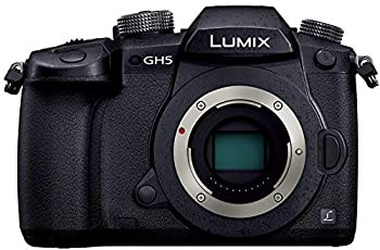 【中古品】パナソニック ミラーレス一眼カメラ ルミックス GH5 ボディ ブラック DC-GH(中古品)