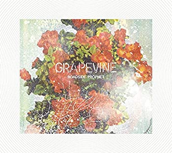 ROADSIDE PROPHET(20th Anniversary Limited Edition)(未使用 未開封の中古品)の通販は