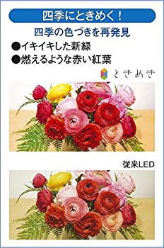 【未使用 中古品】大光電機 DAIKO LEDアウトドアスポットライト LED内蔵 防雨形 電球色 電気 (中古品)の通販は
