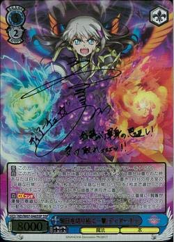 【中古品】ヴァイスシュヴァルツ 魔法少女リリカルなのは Detonation 明日を切り拓く (中古品)