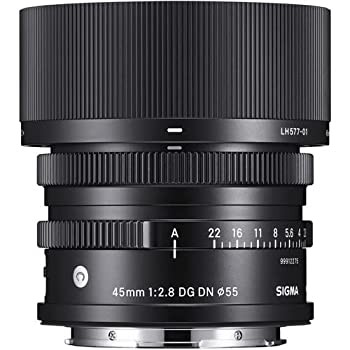 【中古品】SIGMA 14-24mm F2.8 DG DN Art A019 Leica Lマウント Full-Size/Larg(中古品)