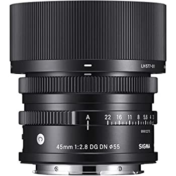 【中古品】SIGMA 14-24mm F2.8 DG DN | Art A019 | Leica Lマウント | Full-Size/Larg(中古品)