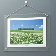 【新品】NAKABAYASHI アクリル製ピクチャーフレーム壁掛けタイプA4判 NAKABAYASHI A(新品)の通販は