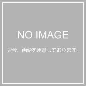 【新品】ルースター ロングクリーナー ソフト(6個入)MA-1(新品)