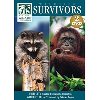 【中古】(未使用･未開封品)Wildlife Survivors: Wild City [DVD]