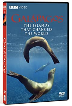 (未使用･未開封品)Galapagos [DVD] 中古】Galapagos [DVD]