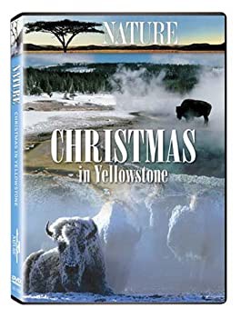 【中古】Nature: Christmas in Yellowstone [DVD]