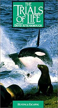 【中古】Trials of Life: Hunting & Escaping [VHS]の通販は