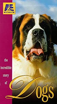 【中古】Incredible Story of Dogs [VHS]の通販は