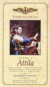 大非常線 コレクターズDVD [DVD]