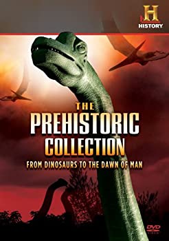【中古】Prehistoric Collection: From Dinosaurs to Dawn [DVD]の通販は