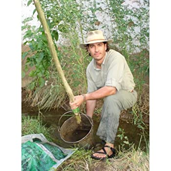 【中古】Ramesses: Visions of Greatness [DVD]の通販は