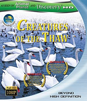 【中古】(未使用･未開封品)Creatures of the Thaw [Blu-ray]の通販は 10,538円