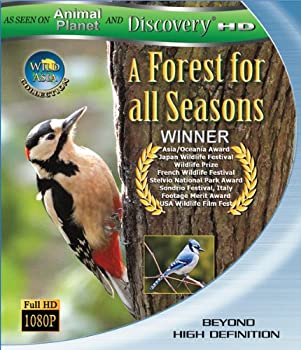 【中古】Wild Asia: A Forrest for All Seasons [Blu-ray]の通販は