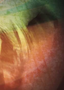 【中古】(未使用･未開封品)Go Quiet [DVD]の通販は 23,174円