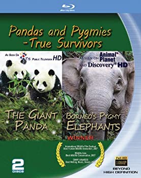 (未使用･未開封品)Pandas & Pygmies: True Survivors [Blu-ray] 中古】Pandas & Pygmies: True Survivors [Blu-ray]の通販は