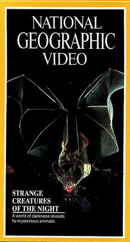 【中古】Nat'l Geo: Strange Creatures of Night [VHS]の通販は