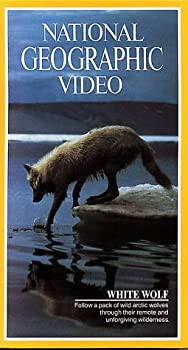 【中古】Nat'l Geo: White Wolf [VHS]