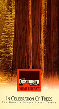 【中古】In Celebration of Trees [VHS]