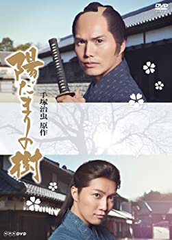 【市原隼人 / 成宮寛貴】陽だまりの樹 DVD-BOX〈6枚組〉 中古】陽だまりの樹 [DVD]