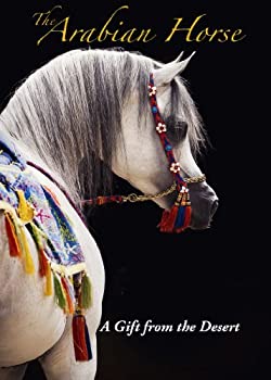 【中古】Arabian Horse a Gift From the Desert [DVD]