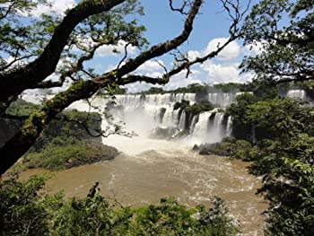 【中古】ワイルドライフ 南米 イグアス 世界最大の滝に野生が集う [DVD]の通販は 19,661円