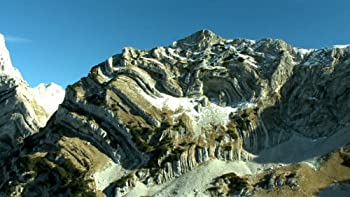 【中古】ワイルドライフ DVD-BOX IIIの通販は