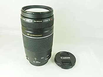 【中古】Canon AFレンズ EF 75-300mm F4-5.6 III USM