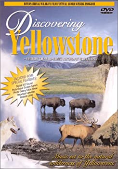 その他 Discovering Yellowstone [DVD] 中古】Discovering Yellowstone [DVD]の通販は その他映像DVD