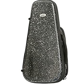 【中古】BAGS ピストン トランペット用 ファイバーケース EFTR F-BLK