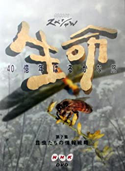 【中古】NHKスペシャル 生命40億年はるかな旅 第7集:昆虫たちの情報戦略 [DVD]の通販は