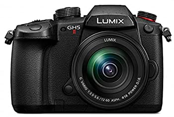 【中古】パナソニック ミラーレス一眼カメラ ルミックス GH5M2 レンズキット 標準ズームレンズ付属 ブラック DC-GH5M2M