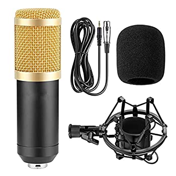 【中古】(未使用･未開封品)マイク BM 800カラオケマイクBM800スタジオコンデンサーミクロフォンマイクBM-800 KTVラジオブラッドキャスティング歌ディング撮影コンピュータ の通販は