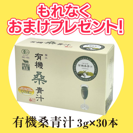 2個セット おまけ付 集大成 発酵ルベルス 120粒 ルンブルクス粉末 大豆発酵エキス サプリメント 送料無料_1