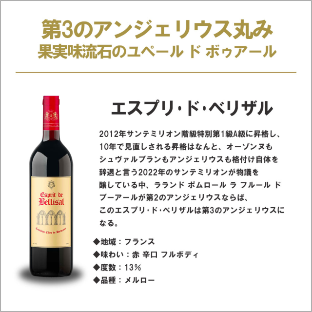 4/26限定 OFFクーポン メドック金賞＆AOCボルドー金賞ワイン入り 12本セット [750ml×12本]　ワインセット_10