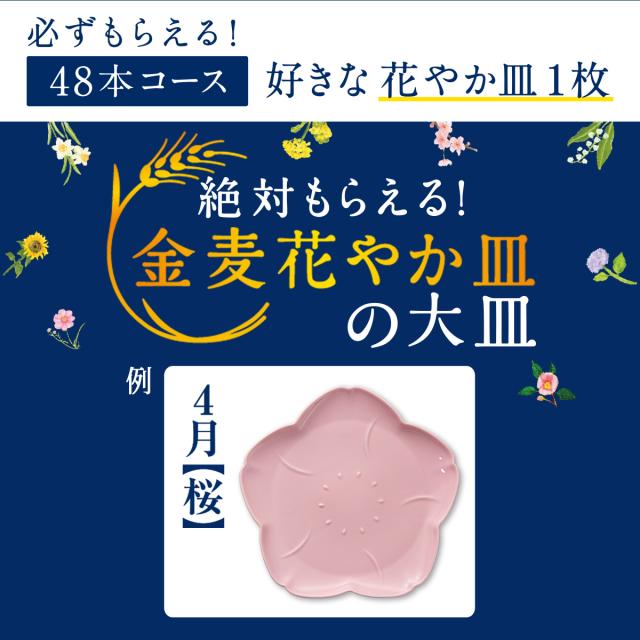 4/26限定 OFFクーポン サントリー 金麦 糖質75％オフ 500ml×48本_3