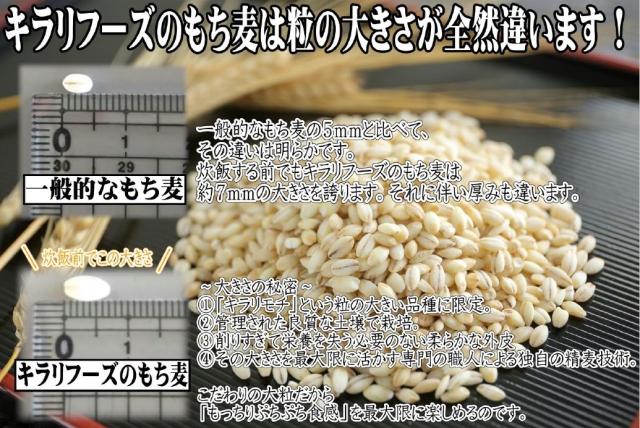 【もち麦】 キラリフーズ 広島県 安芸高田産 特選もち麦 キラリモチ 1キロ×5袋_2