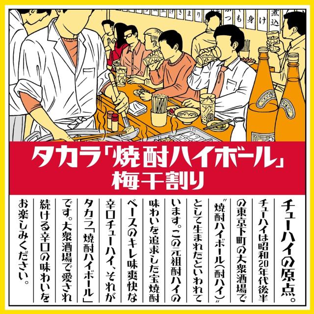6/14限定 500円OFFクーポン チューハイ 宝 焼酎ハイボール 梅干割り 500ml×48本 heat_g_2