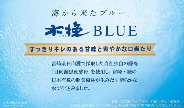6/14限定 500円OFFクーポン 雲海酒造 木挽 BLUE ブルー 20度 パック 1800ml 1.8L×12本_2