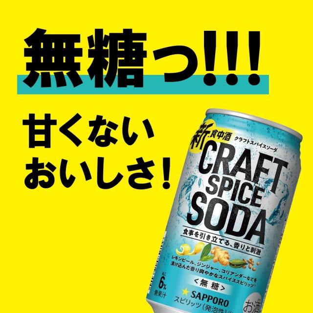 送料無料 サッポロ クラフトスパイス ソーダ 500ml×2ケース/48本