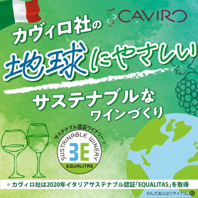 タヴェルネッロ オルガニコ サンジョヴェーゼ テトラパック 1L 1000ml×1ケース/12本_3