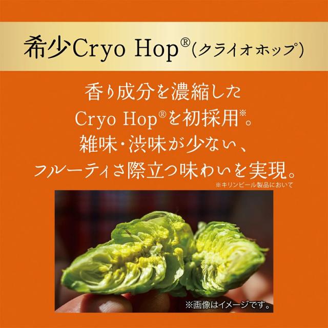 キリン グッドエール 350ml×2ケース/48本