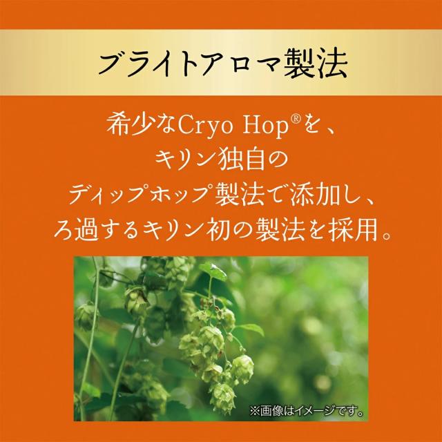 キリン グッドエール 350ml×2ケース/48本