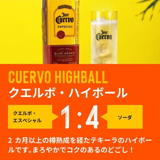 【正規品】クエルボ エスペシャル ゴールド 40度 750ml×12本_4