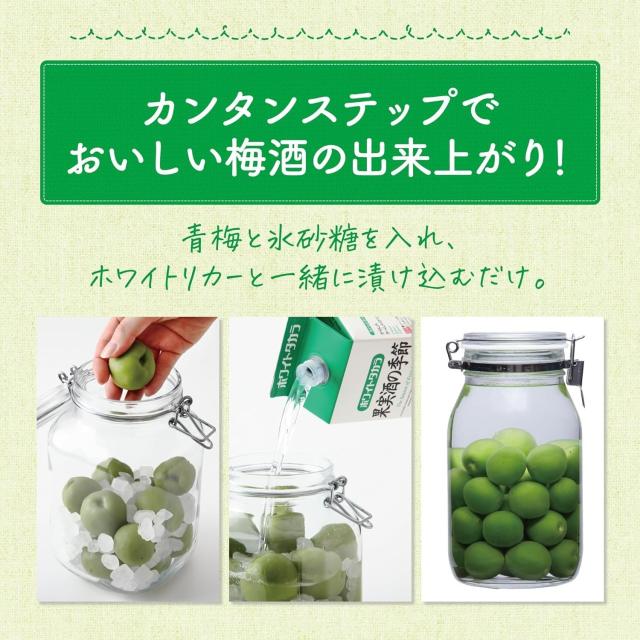 宝酒造 ホワイトタカラ 果実酒の季節 35度 ペットカップ 220ml×1ケース