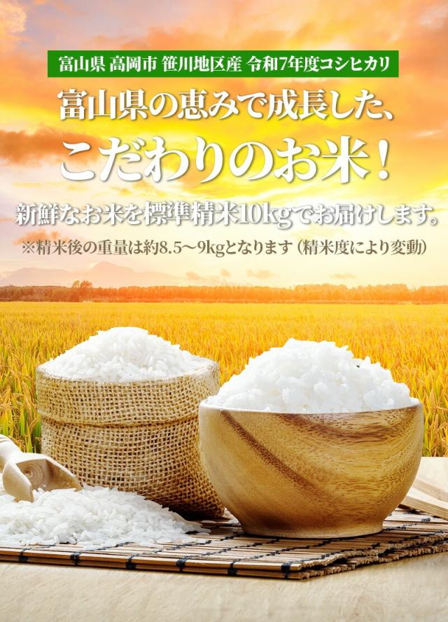 ＆精米無料 令和7年産　新米 富山県産 コシヒカリ 10kg 米 コメ こめ お米 おこめ