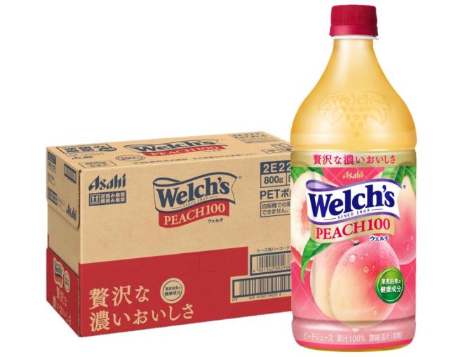 サンガリア つぶつぶナタデココ入り白ぶどう 500mlペットボトル×24本入×(2ケース) : サンガリア つぶつぶナタデココ入り白ぶどう 500ml×24本