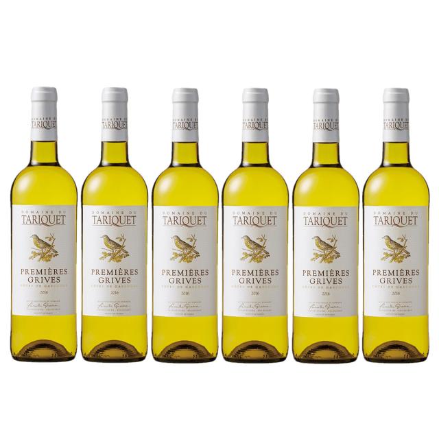 ワイン ドメーヌ・タリケ プルミエール・グリヴェ 750ml×6本 wine